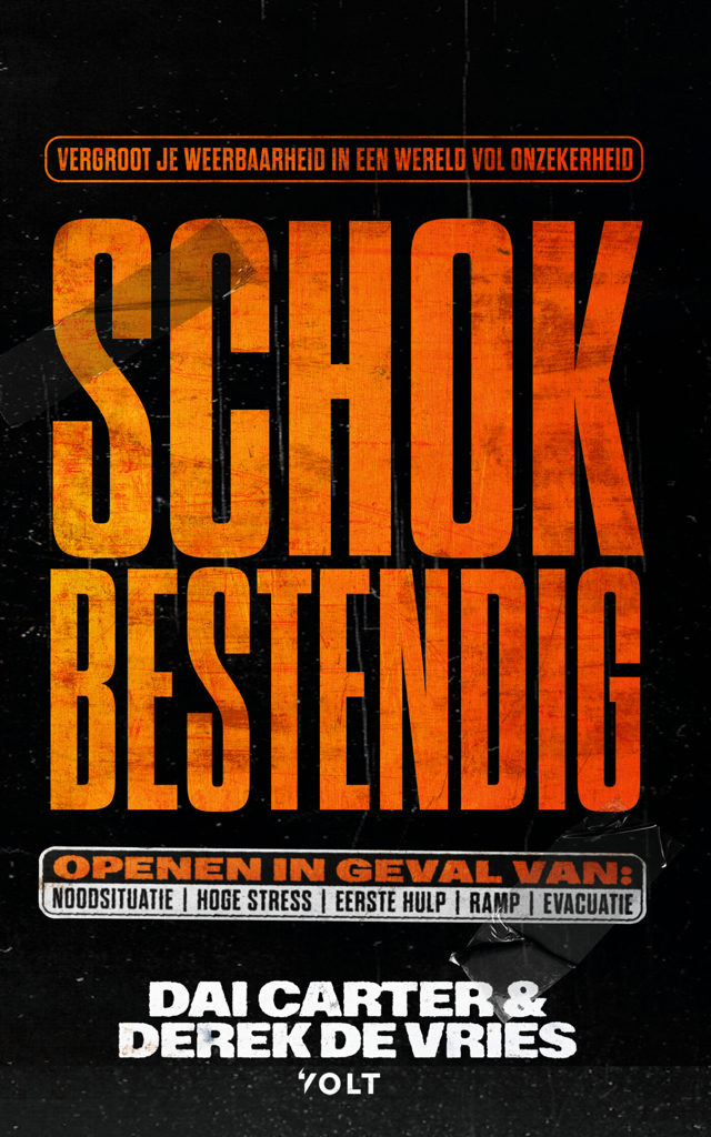Omslag van Schokbestendig