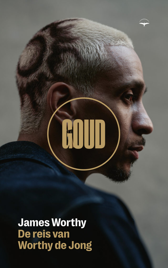 Omslag van Goud