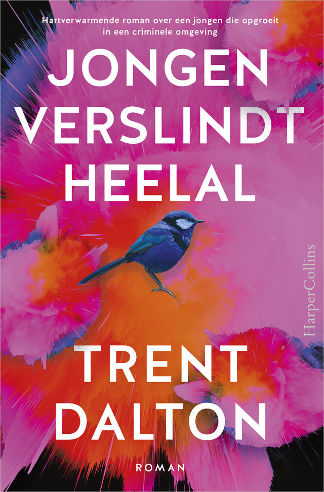Omslag van Jongen verslindt heelal
