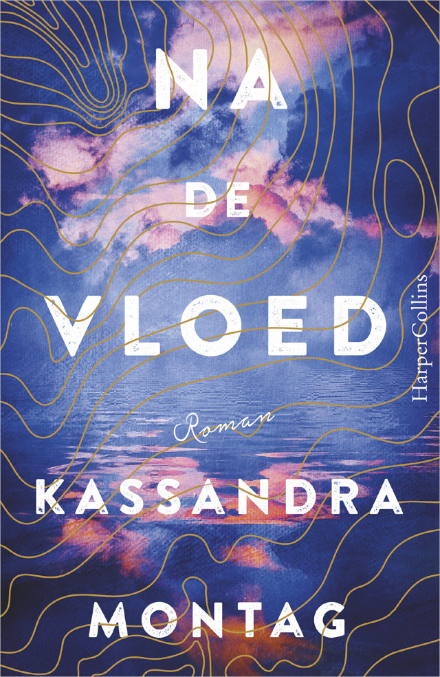 Omslag van Na de vloed