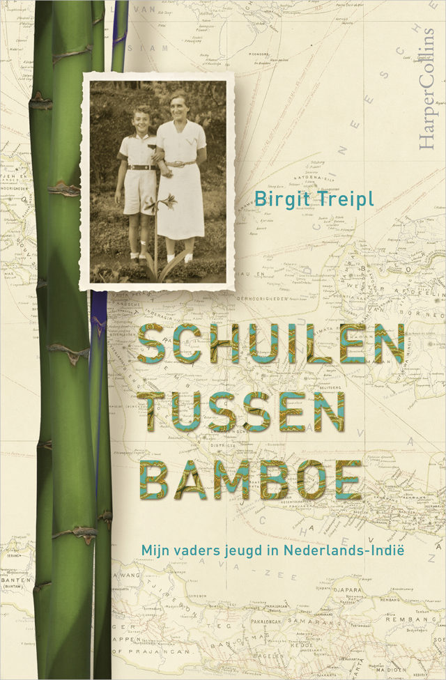 Omslag van Schuilen tussen bamboe