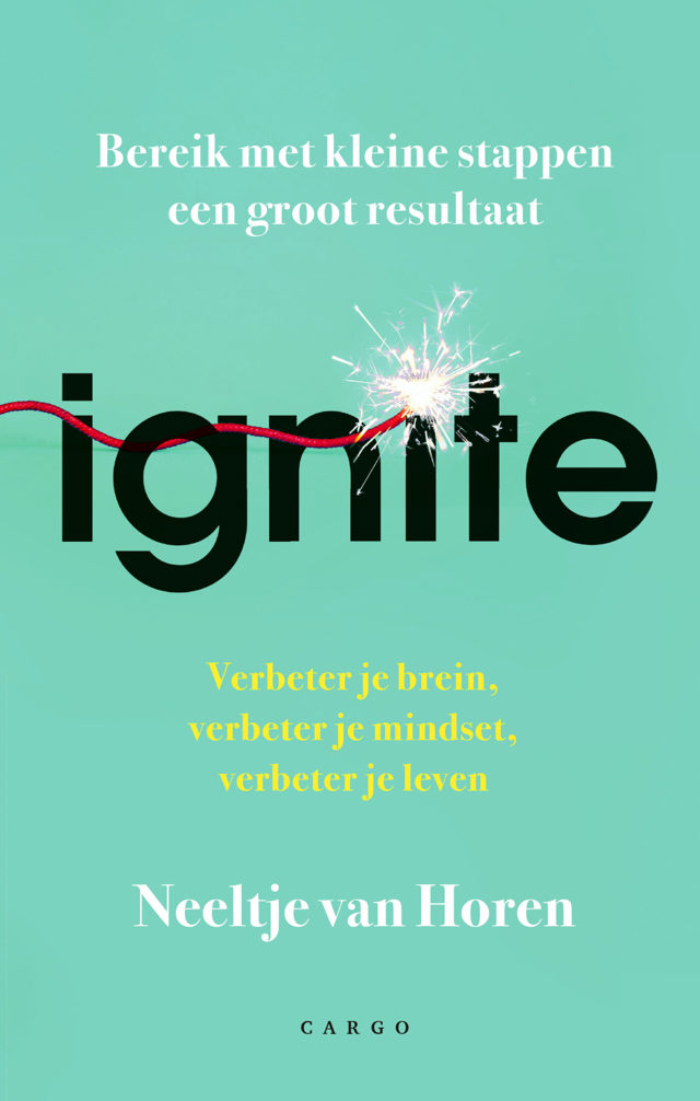 Omslag van Ignite