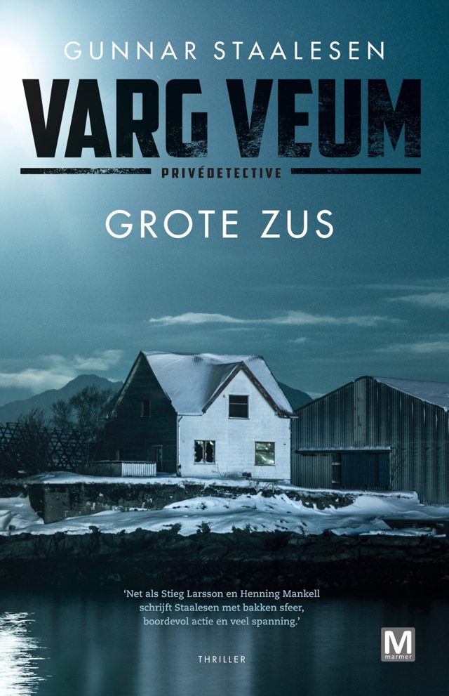 Omslag van Grote zus