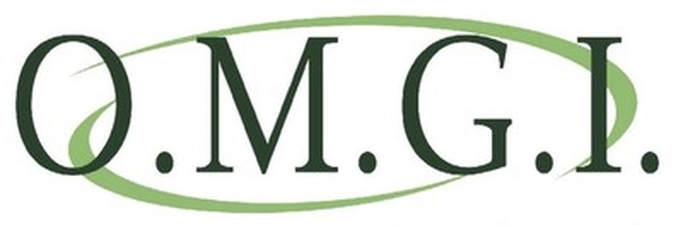 ORGANIZZAZIONE MECCANICA GENERALE INDUSTRIALE