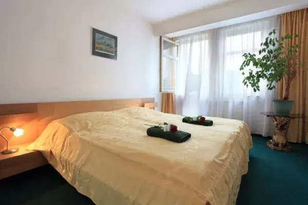 Photo 2 of Hotel AMADEUS
