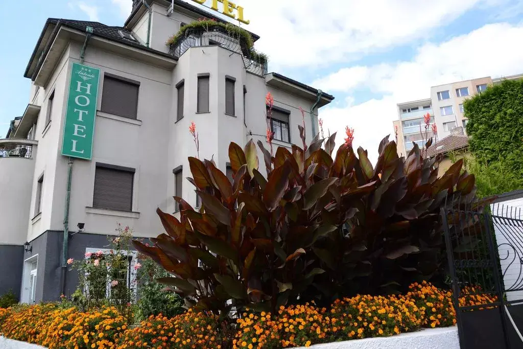 Photo 3 of Hotel Anton