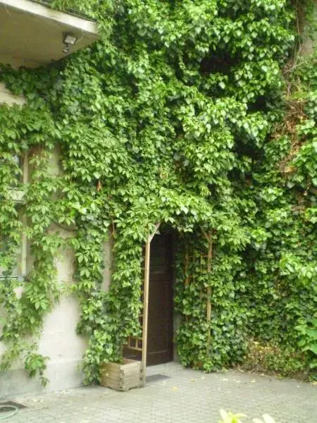 Photo 2 of Apartmány Rossa