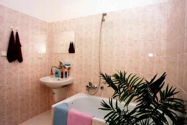 Photo 5 of Apartments Sedlak