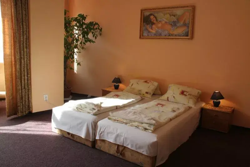Photo 3 of Hotel Bayer Plzeň