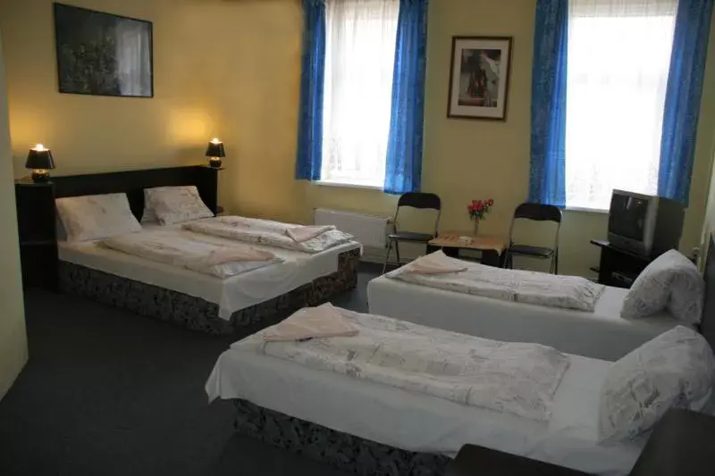 Photo 4 of Hotel Bayer Plzeň
