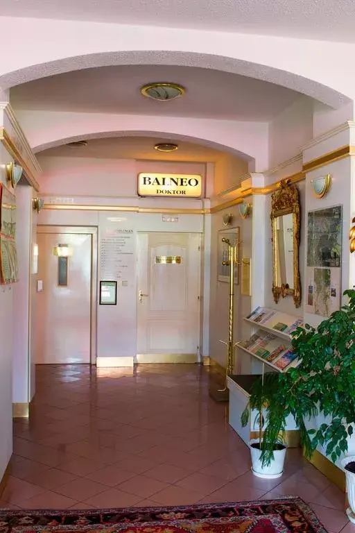 Photo 4 of Hotel Ferdinand
