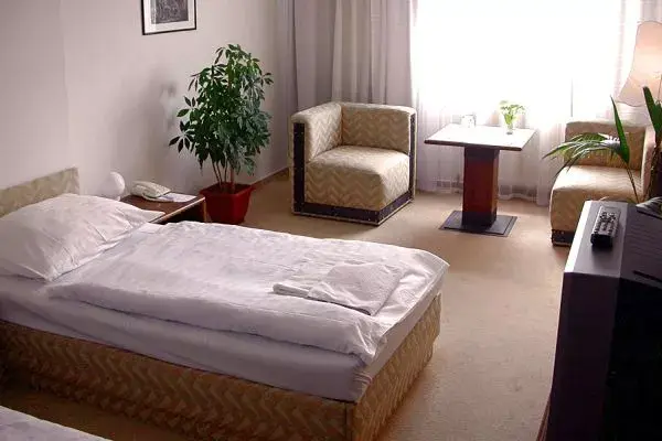 Photo 3 of A - AUSTERLITZ hotel 