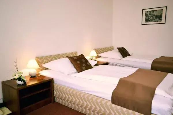 Photo 2 of A - AUSTERLITZ hotel 