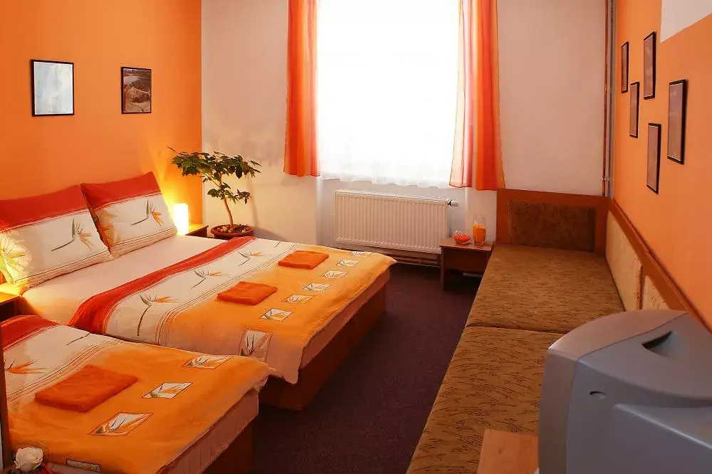 Photo 4 of Penzion U Ježků