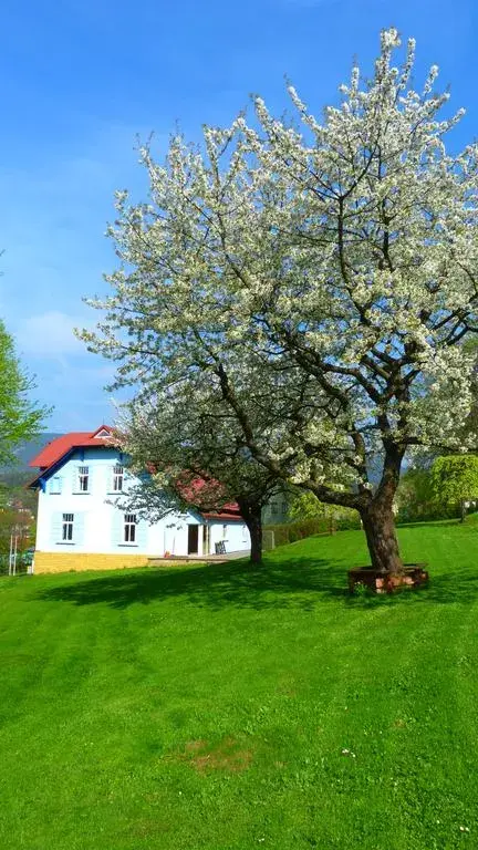 Photo 2 of Blue Pension villa