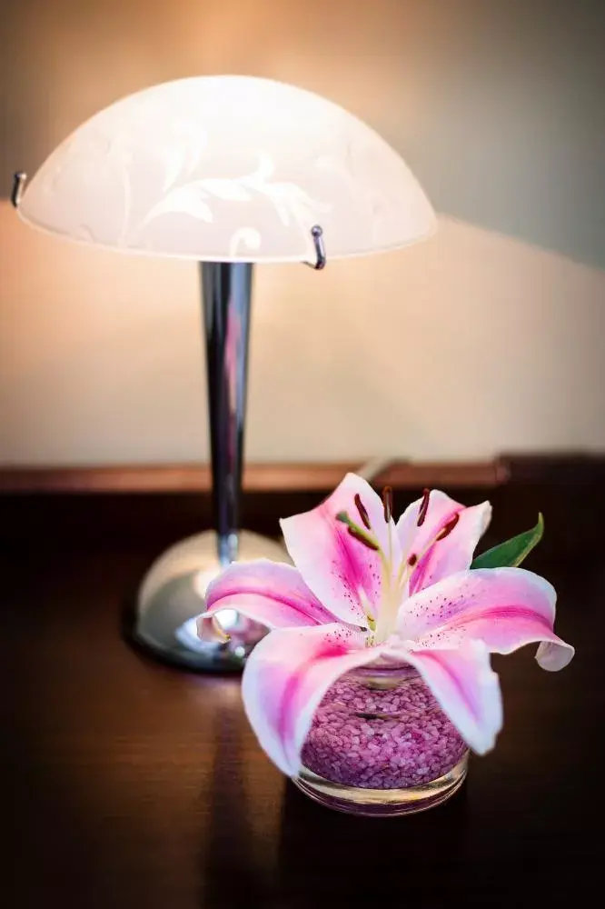 Photo 4 of Hotel Bona Serva