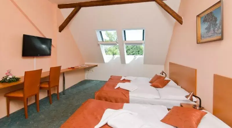 Photo 3 of Hotel Slavia