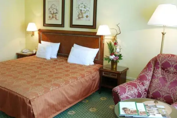 CARLSBAD PLAZA Medical Spa & Wellness hotel Superior, Carlsbad Karlovy Vary