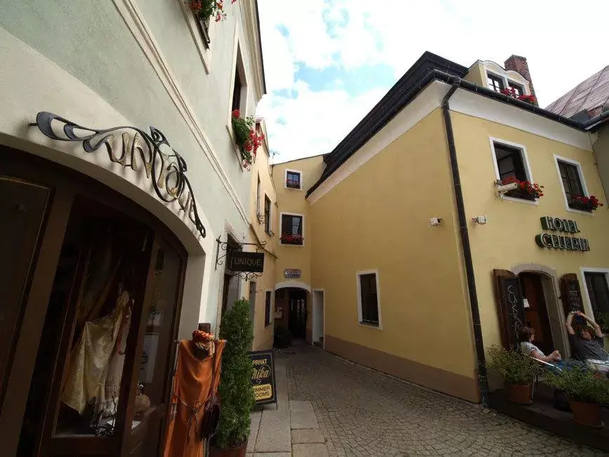 Photo 2 of Hotel Celerin