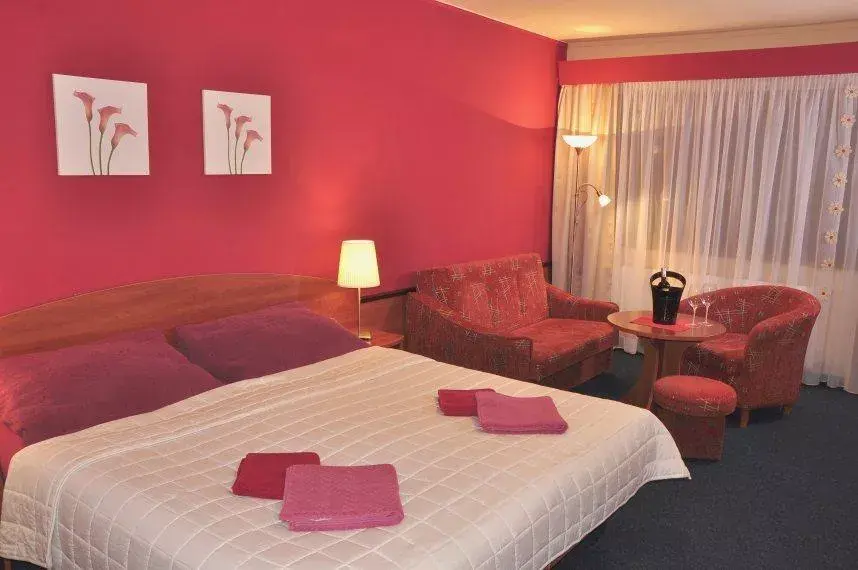 Photo 3 of Hotel Centrum Harrachov