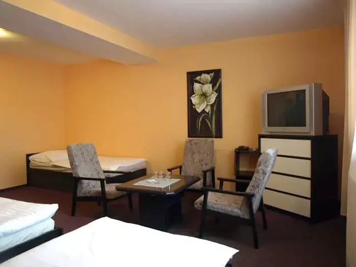 Photo 5 of Hotel Slavie