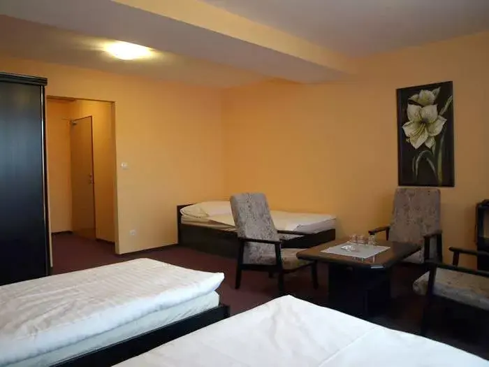 Photo 4 of Hotel Slavie