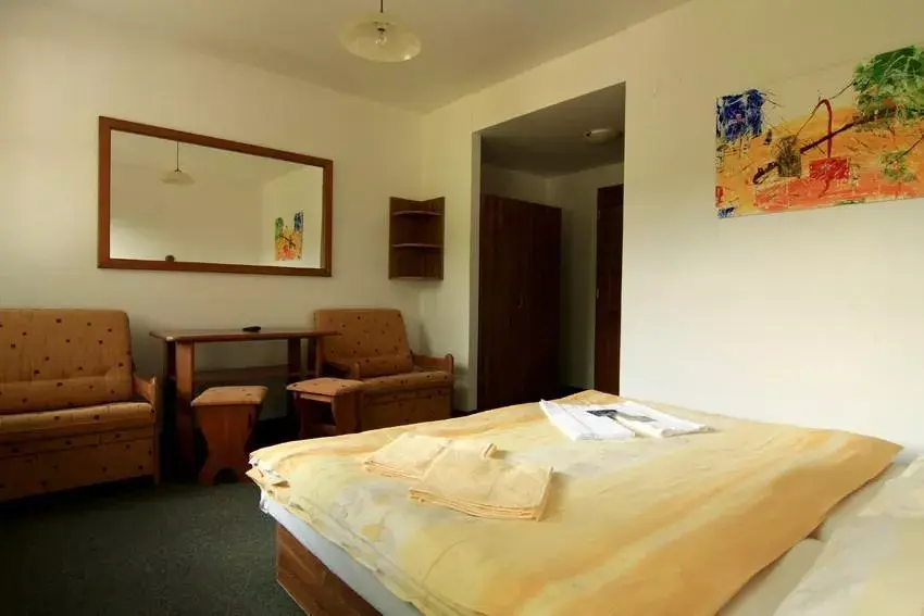 Photo 4 of David wellness hotel Harrachov