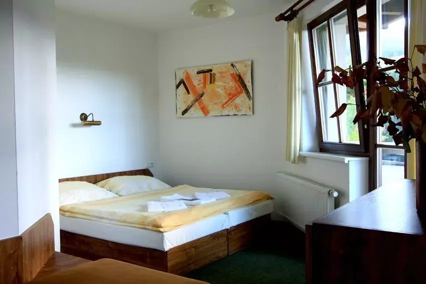 Photo 5 of David wellness hotel Harrachov