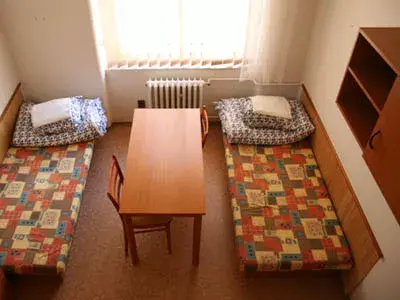 Photo 2 of Hostel Dizzy Daisy