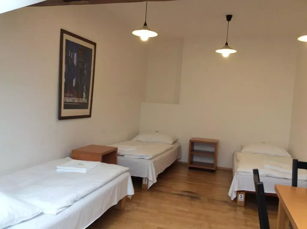 Photo 2 of Pension and Hostel Dlouha