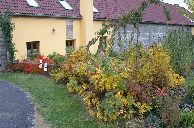Photo 4 of Farma Moulisových