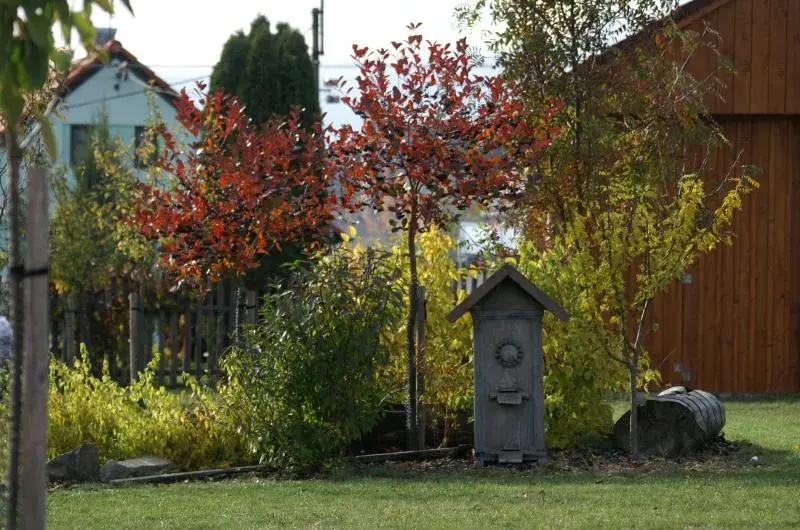 Photo 2 of Farma Moulisových