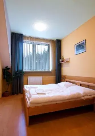 Photo 2 of Hotel Global