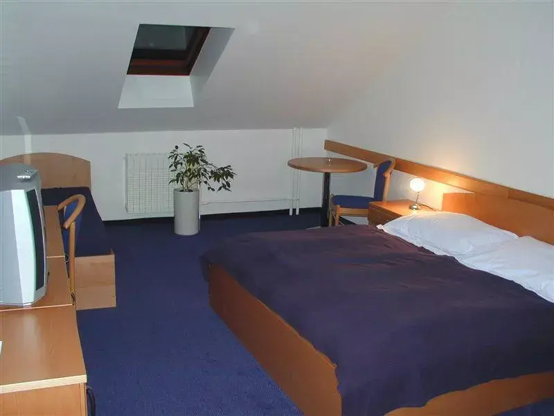 Photo 3 of Hotel Hejtman