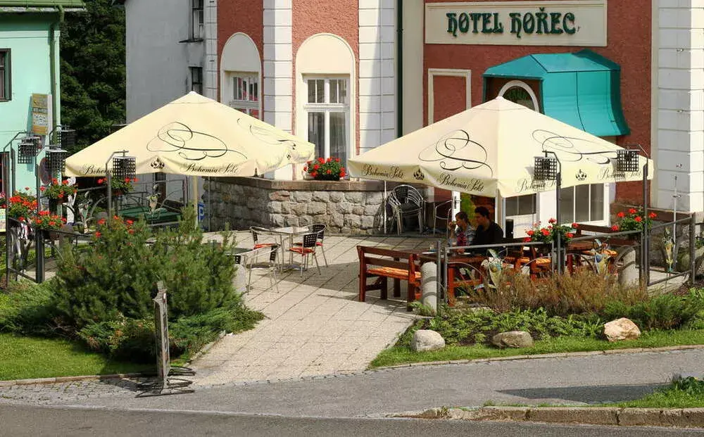 Photo 4 of HOTEL HOŘEC