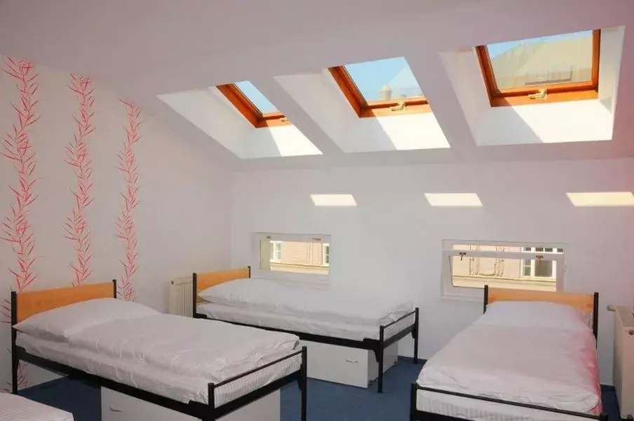 Photo 3 of Hostel Miles