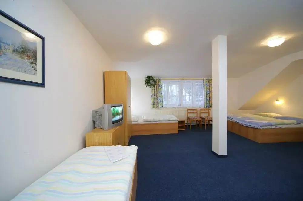 Photo 4 of Hotel Alfonska