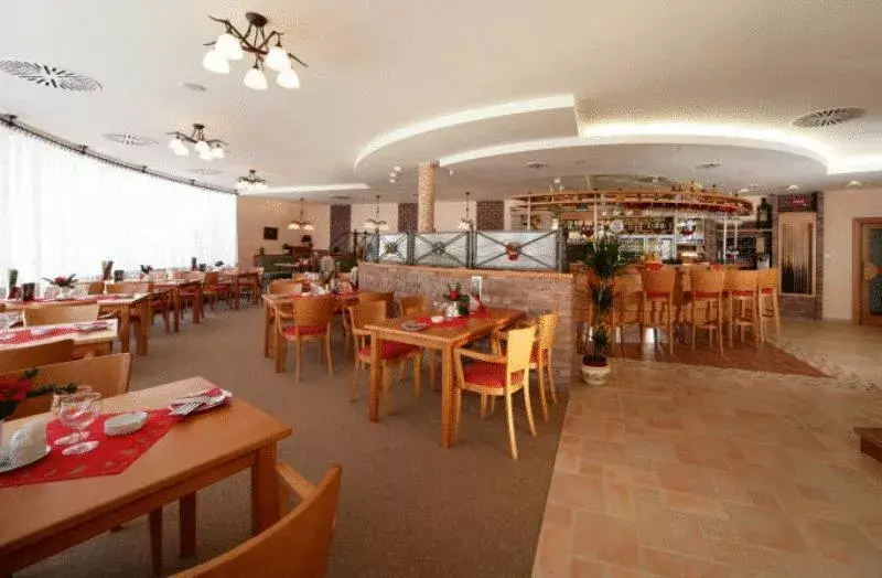 Hotel - apartmány - pension Albis, Hořejší Vrchlabí