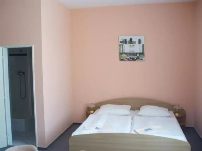 Photo 4 of Hotel Broušek