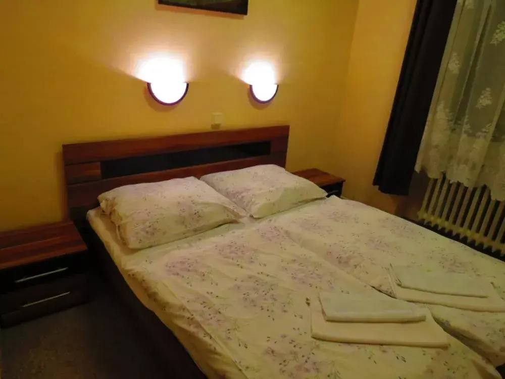 Photo 4 of Hotel ČESKÝ DVŮR