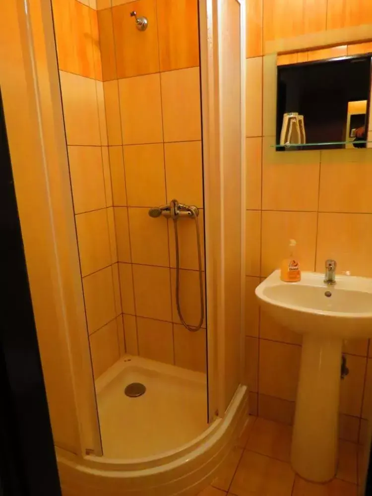 Photo 5 of Hotel ČESKÝ DVŮR