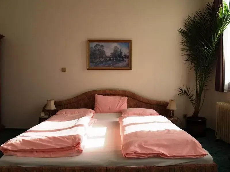 Photo 3 of Hotel Drnholec