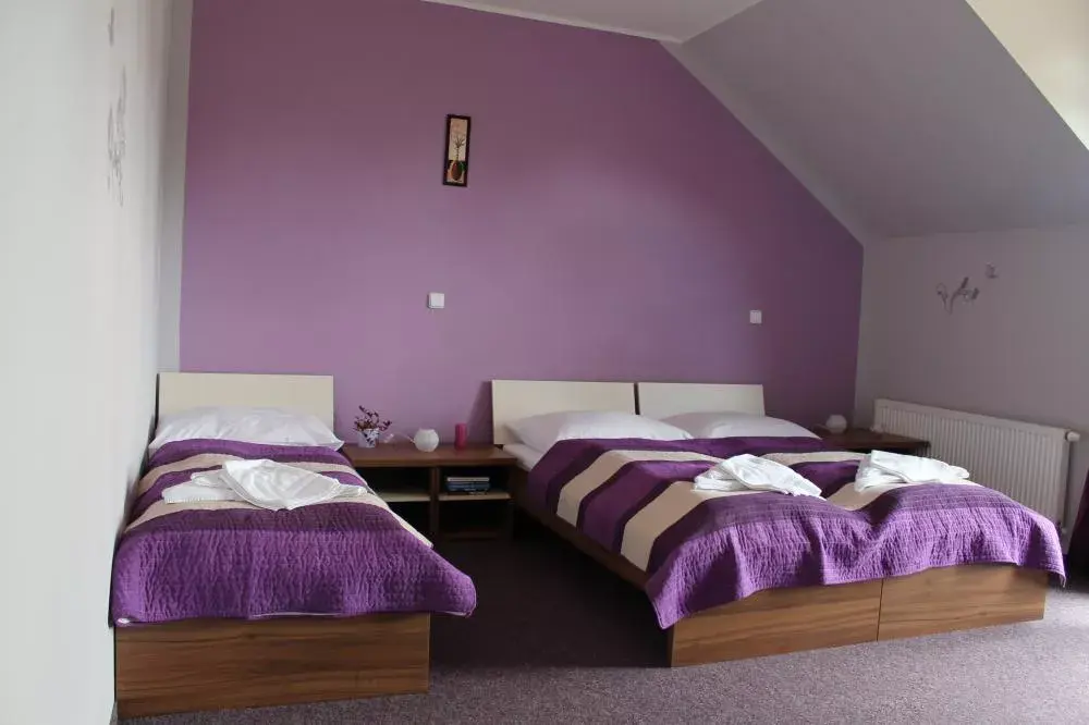Photo 4 of Hotel Golf Bítozeves