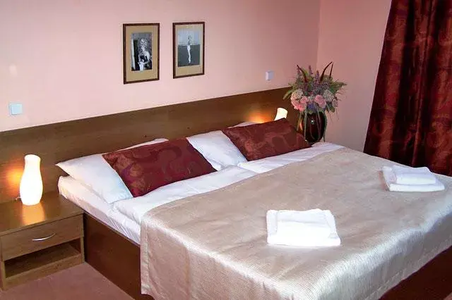Photo 4 of Hotel Hron