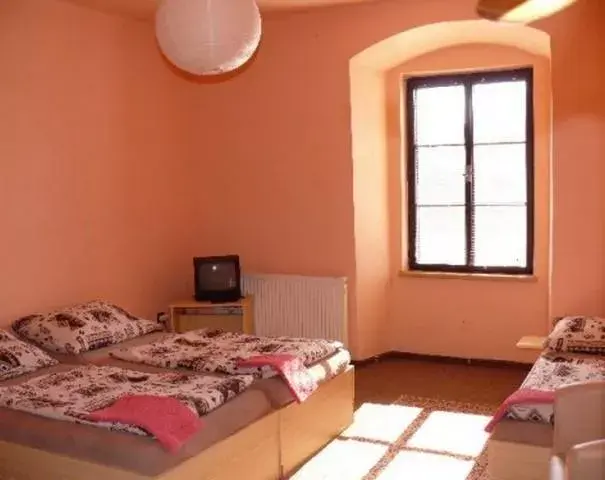 Photo 3 of Hotel Na Velké hospodě