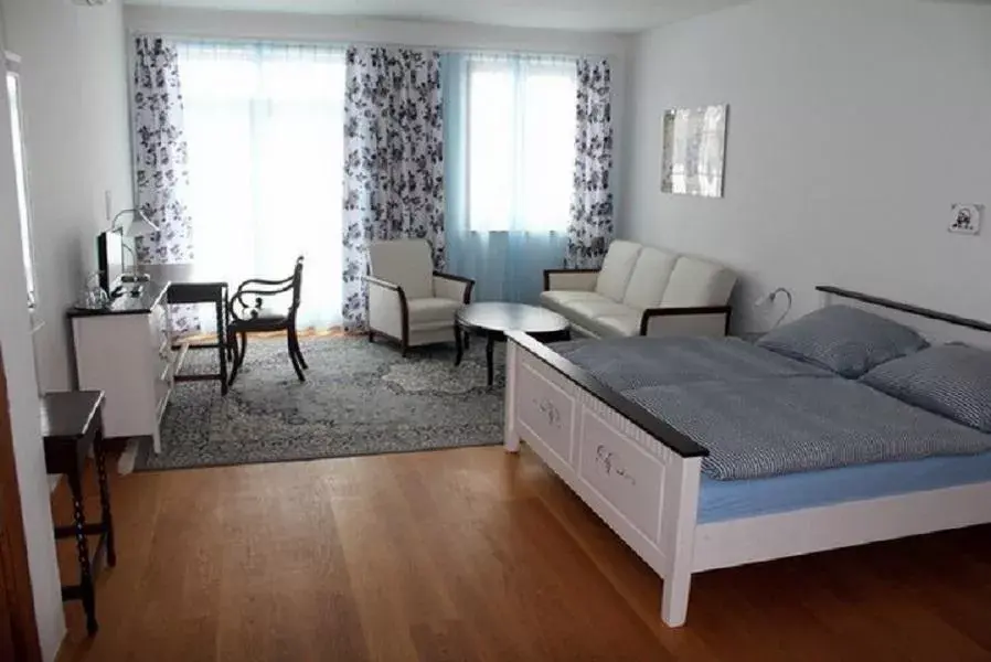 Photo 4 of Hotelová apartmá Černý jezdec