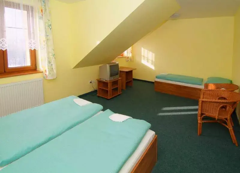 Photo 4 of Hotel Příchovice