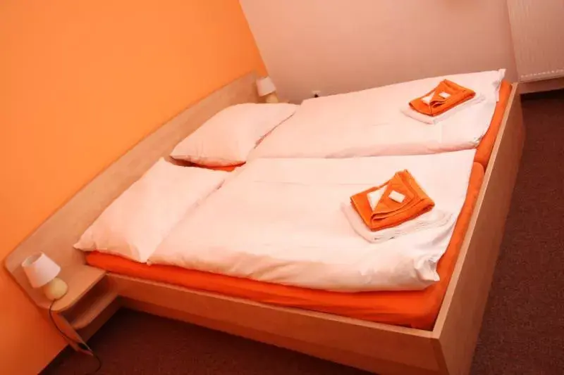 Photo 5 of Hotel Sádek
