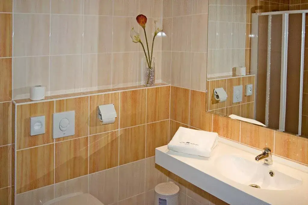 Photo 4 of Hotel Termal Mušov