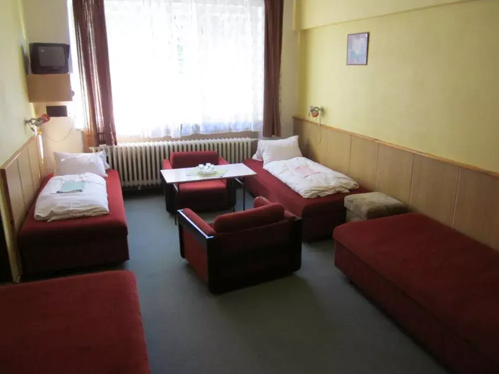 Photo 3 of Hotel U Přehrady